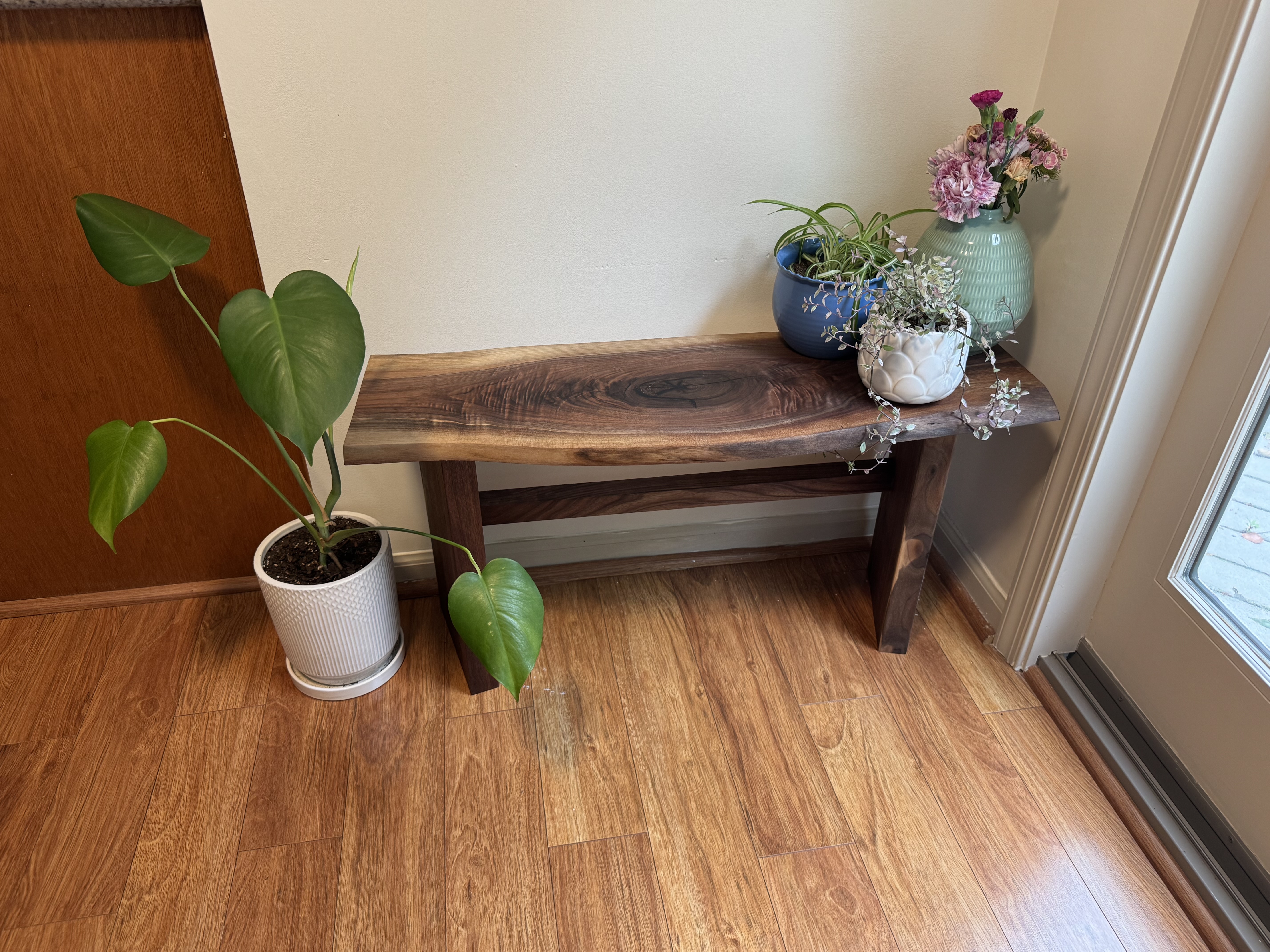 Live edge walnut display bench for indoor plants